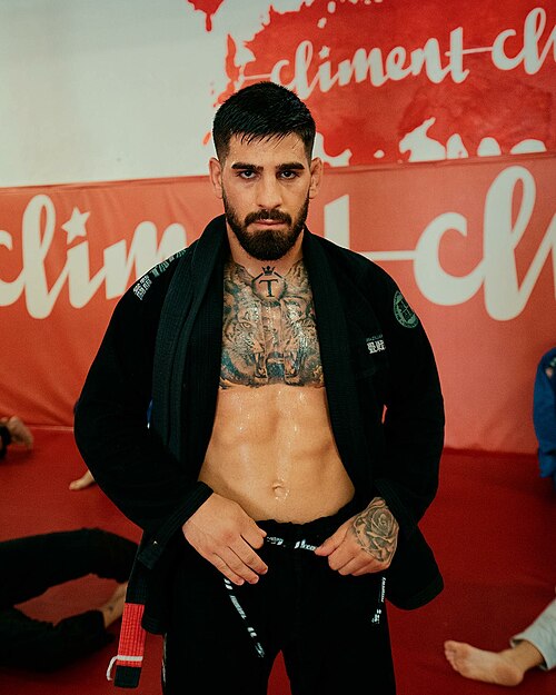 ილია თოფურია